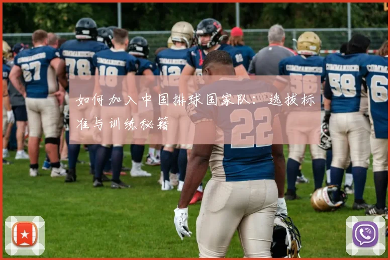 篮球明星的传奇生涯:从默默无闻到全球偶像_20260529200418
